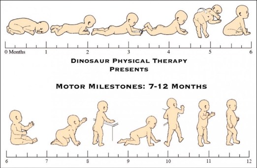 Jalons du moteur 7-12